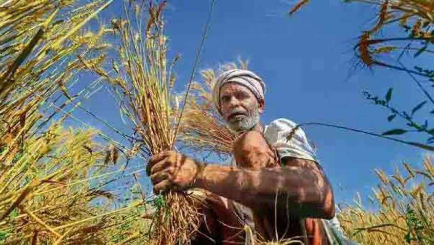PM Kisan Samman Nidhi 8th installment likely before Holi | Here is how you can  check your name in beneficiaries list | Zee Business