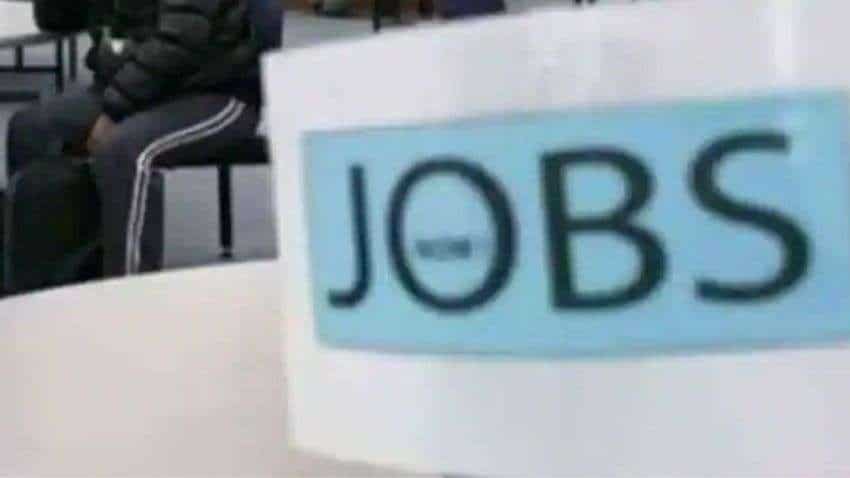 LOOKING FOR JOB? Check how you can occupy one these 92 VACANCIES on offer - see pay scale, Dearness allowance and more here LOOKING FOR JOB? Check how you can occupy one these 92 VACANCIES on offer - see pay scale, Dearness allowance and more here