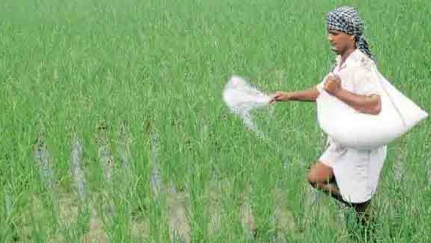 GOOD NEWS! Subsidy on DAP fertiliser hiked by 140% ; farmers to get  DAP bag for Rs 1200 instead of Rs 2400