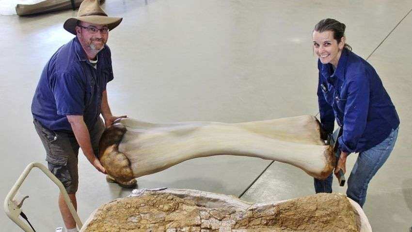 SEE PIC - NEW DINOSAUR species? One of the LARGEST found in the world? Scientists CONFIRM this SEE PIC - NEW DINOSAUR species? One of the LARGEST found in the world? Scientists CONFIRM this