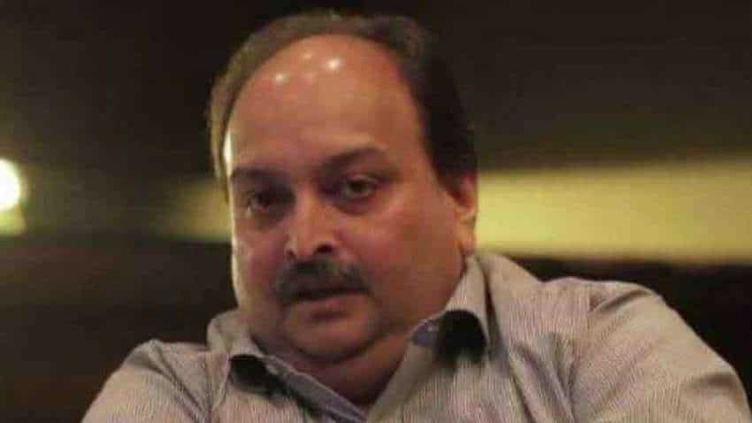 Dominica High Court denies bail to Mehul Choksi, cites several reasons including flight risk Dominica High Court denies bail to Mehul Choksi, cites several reasons including flight risk