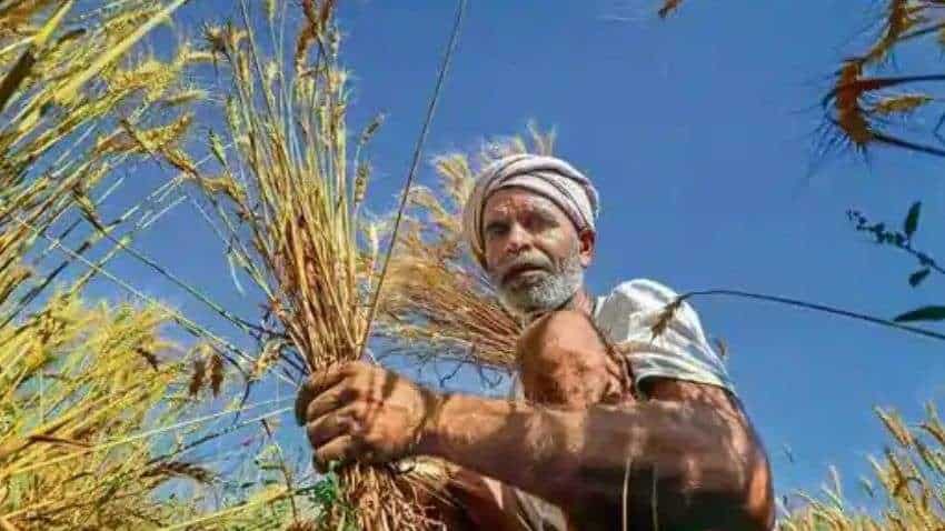 PM Kisan Scheme Mobile App: Check status online - HERE IS HOW! Farmer beneficiaries ALERT - Rs 20k crore to over 9.5 cr farmers in 8th installment PM Kisan Scheme Mobile App: Check status online - HERE IS HOW! Farmer beneficiaries ALERT - Rs 20k crore to over 9.5 cr farmers in 8th installment