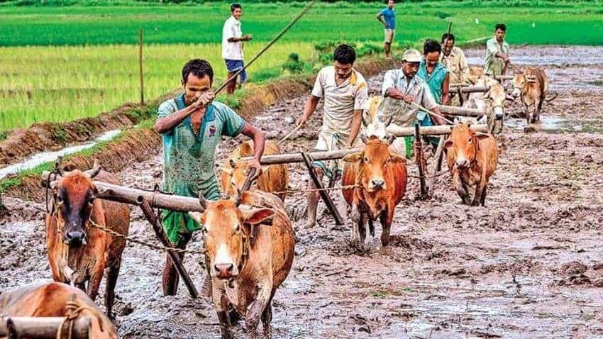PM Kisan status check 2021 online: Waiting for installment money? DO THIS to get in your bank account PM Kisan status check 2021 online: Waiting for installment money? DO THIS to get in your bank account