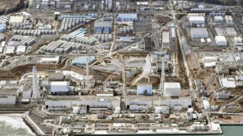 Japan's aged Mihama nuke plant goes online Japan's aged Mihama nuke plant goes online