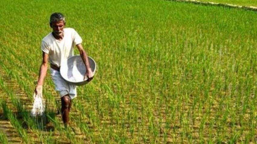 ADDITIONAL SUBSIDY for Farmers: FM Sitharaman announces Rs 14,775 cr extra; Check full details ADDITIONAL SUBSIDY for Farmers: FM Sitharaman announces Rs 14,775 cr extra; Check full details