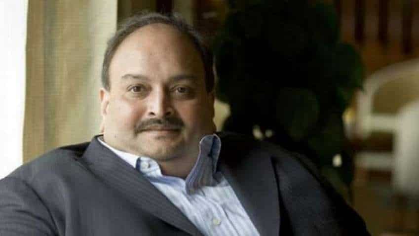 Choksi will 'only' return to Dominica to face trial when fit, media reports citing bail conditions Choksi will 'only' return to Dominica to face trial when fit, media reports citing bail conditions