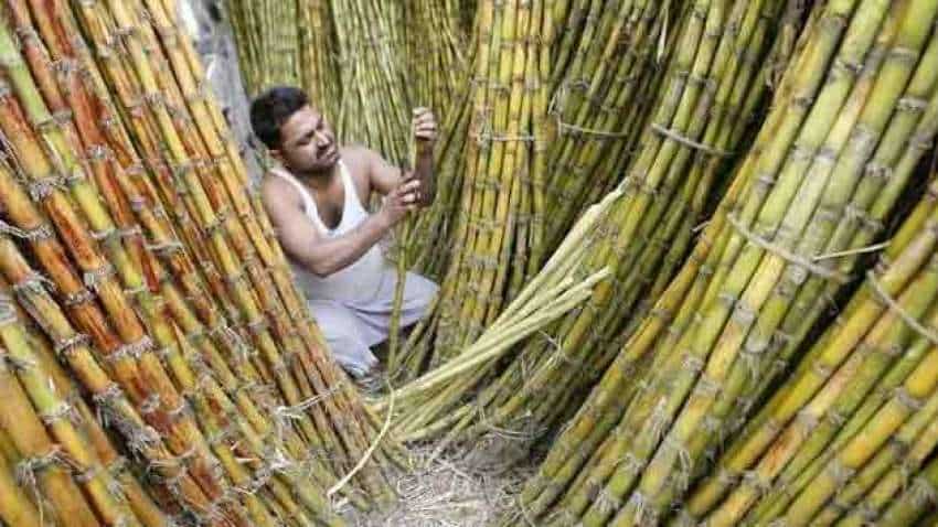 GOOD NEWS for sugar companies, cane farmers: Modi government signs export contract for more than target figure of 60 LMT sugar, 52 LMT exported within 6 months GOOD NEWS for sugar companies, cane farmers: Modi government signs export contract for more than target figure of 60 LMT sugar, 52 LMT exported within 6 months