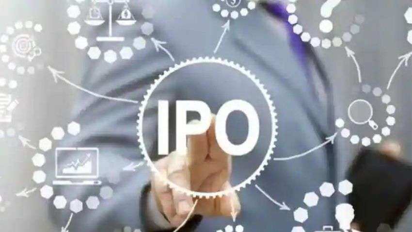 Glenmark Life Sciences IPO to open next week - What investors should know