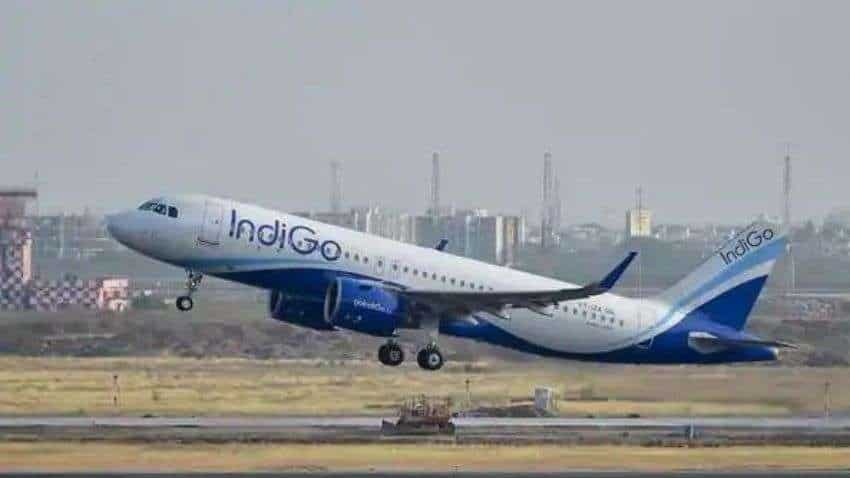 IndiGo 6E Double Seat Service: Stress-free flying experience! Know eligibility, booking, cancellation and other details here IndiGo 6E Double Seat Service: Stress-free flying experience! Know eligibility, booking, cancellation and other details here