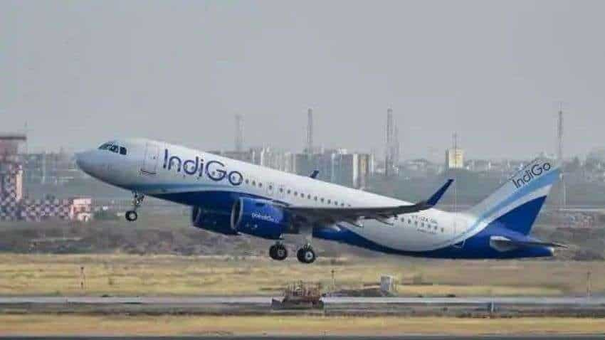 IndiGo 6E Double Seat Service: Stress-free flying experience! Know eligibility, booking, cancellation and other details here