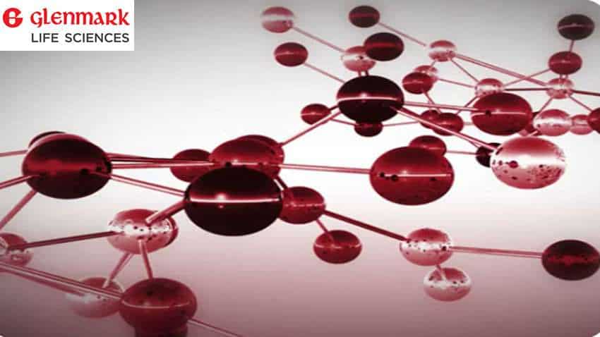 Glenmark Life Sciences IPO: Opening on 27th July; 35% shares allocated for retail investors – Know price band, issue size, lot size and MORE Glenmark Life Sciences IPO: Opening on 27th July; 35% shares allocated for retail investors – Know price band, issue size, lot size and MORE