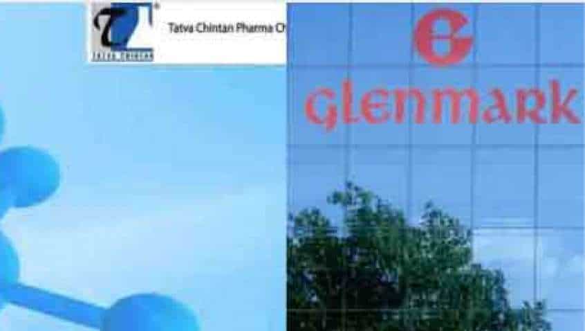 IPO Action Next Week: Glenmark Life Sciences IPO issue details, Tatva Chintan Pharma Chem Ltd IPO allotment updates—All INVESTORS need to know 