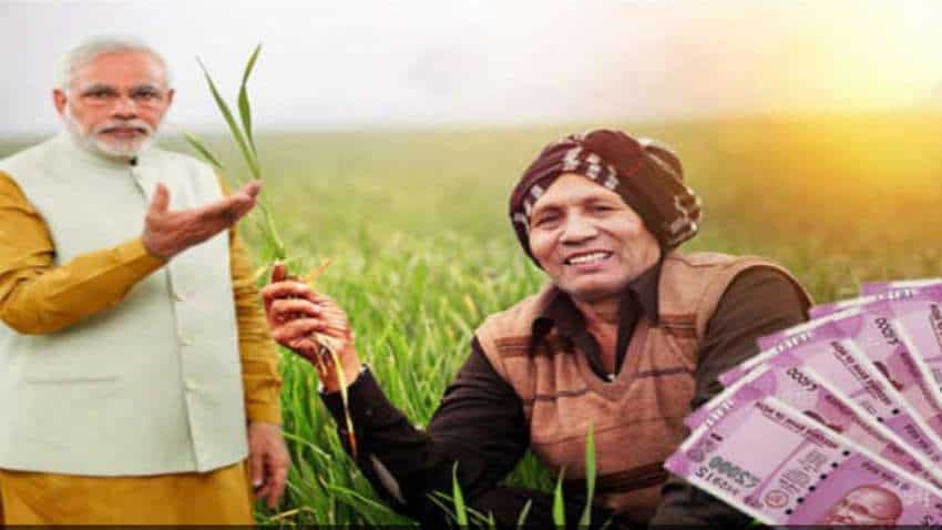 PM Kisan 8th, 9th Instalment: KNOW - How to do status check online of latest instalment details on pmkisan.gov.in