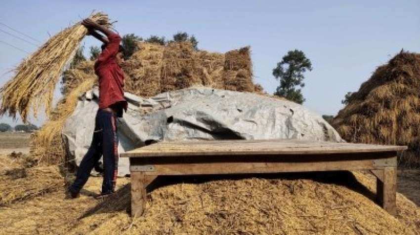 RECORD 308.65 million tonnes foodgrain production expected this year