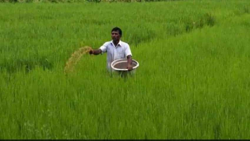 Agri-commodity exchange: NCDEX average daily turnover surges over 2-folds to Rs 2,151 cr in July