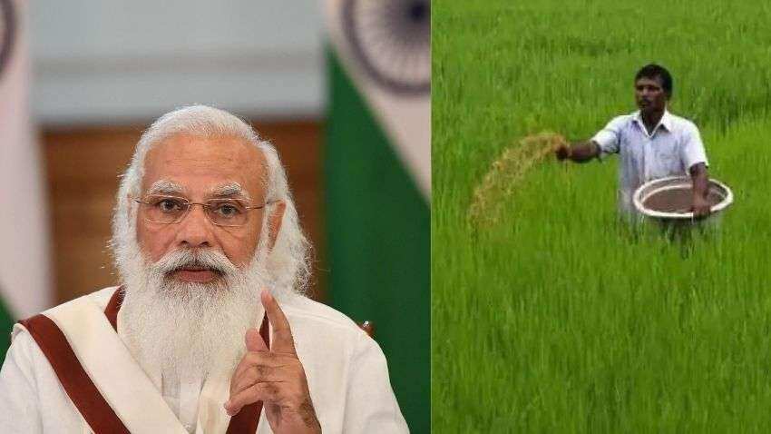 PM Kisan 9th Instalment! Still waiting for Rs 2,000? Rectify your mistakes through THESE steps  