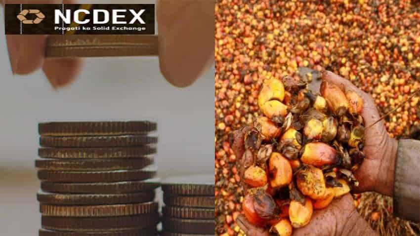 Crude palm oil price:  Expert gives outlook, movement on NCDEX; long-term, short-term impact of National Mission on Edible Oils on rates DECODED