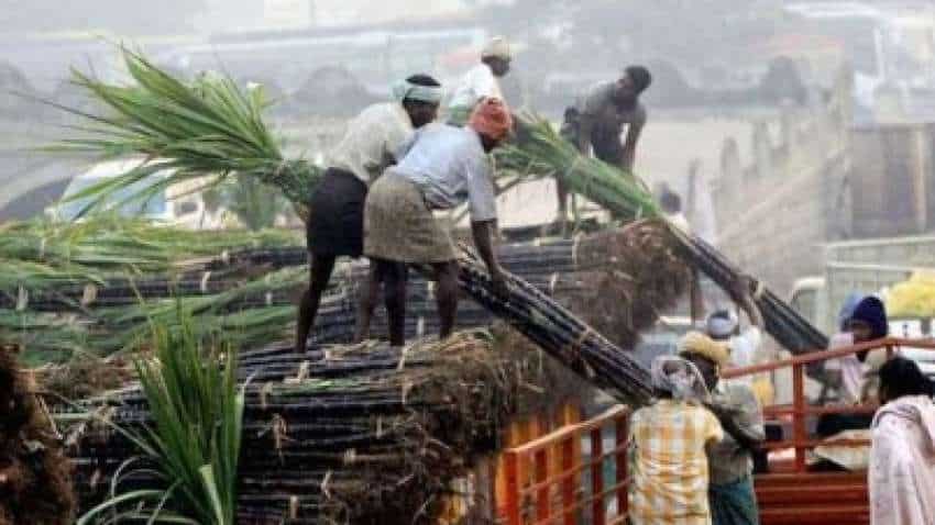 Sugar stocks jump after Government announces increase in FRP for sugarcane – Dalmia Bharat Sugar, EID Parry up 7%; Shree Renuka Sugars shares hit upper circuit Sugar stocks jump after Government announces increase in FRP for sugarcane – Dalmia Bharat Sugar, EID Parry up 7%; Shree Renuka Sugars shares hit upper circuit