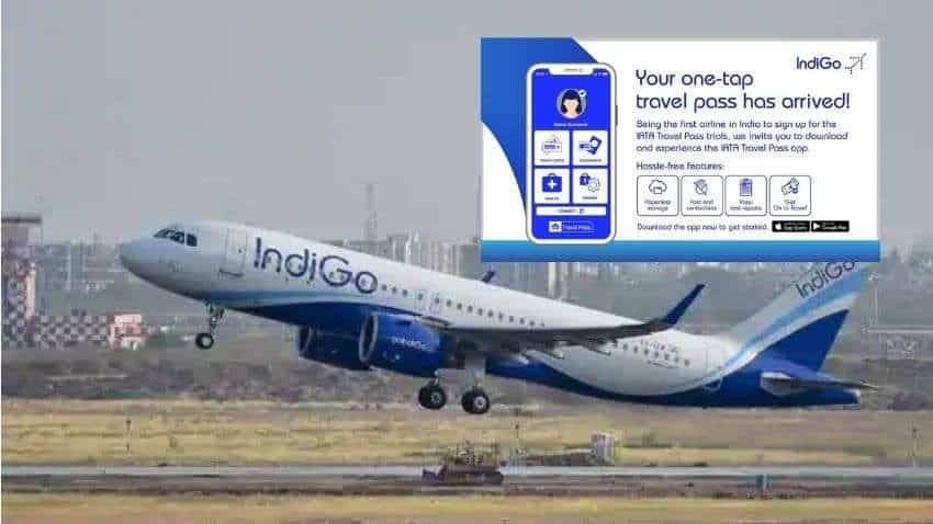IndiGo passengers ALERT! Go CONTACTLESS with IATA app at the airport - Check FACILITIES and FULL DETAILS here IndiGo passengers ALERT! Go CONTACTLESS with IATA app at the airport - Check FACILITIES and FULL DETAILS here