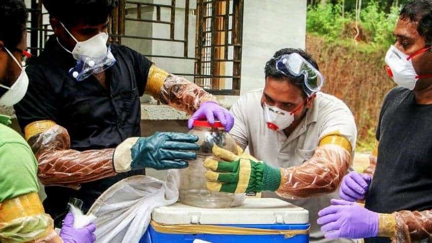 Nipah Virus Kerala Update: 12 year old boy dies of Nipah, central team visits house of boy in Kozhikode, collects sample - Check symptoms and other details here Nipah Virus Kerala Update: 12 year old boy dies of Nipah, central team visits house of boy in Kozhikode, collects sample - Check symptoms and other details here