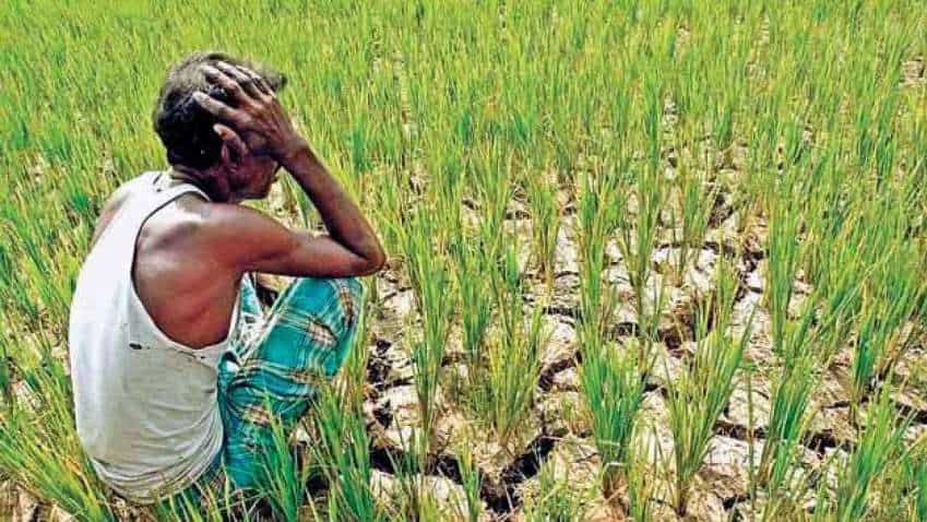 ALARMING! Over 50% farmers&#039; families in debt with average loan of Rs 74,121 in 2019, only 57.5 % loan taken for agricultural purposes : NSO Survey