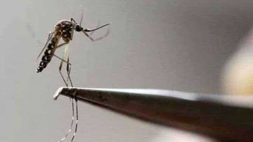 16 Dengue cases reported in Patna in 72 hrs 16 Dengue cases reported in Patna in 72 hrs