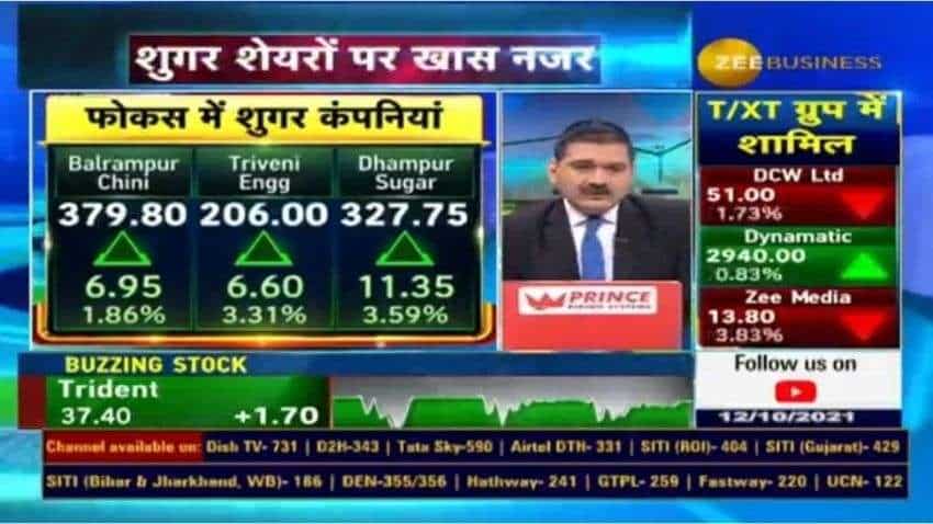 Raw sugar price at 4.5-year high! Know the reason - why to focus on sugar stocks Raw sugar price at 4.5-year high! Know the reason - why to focus on sugar stocks