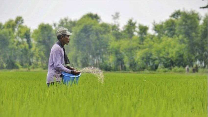 Fertiliser subsidy of Rs 28,655 cr in rabi season to benefit farmers, industry; to boost supply: ICRA Fertiliser subsidy of Rs 28,655 cr in rabi season to benefit farmers, industry; to boost supply: ICRA