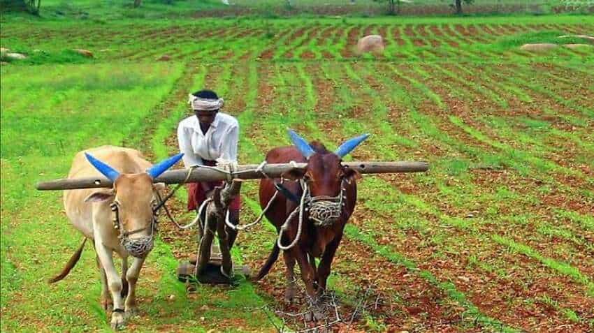Monsoon 2021 expected to rescue India's agriculture in FY22: Ind-Ra Monsoon 2021 expected to rescue India's agriculture in FY22: Ind-Ra