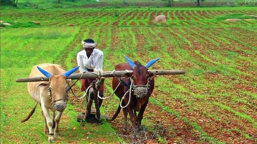 Monsoon 2021 expected to rescue India&#039;s agriculture in FY22: Ind-Ra