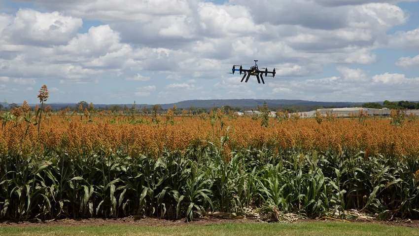 How agritech startups are boosting agricultural economy by employing AI and Data Science - Expert explains How agritech startups are boosting agricultural economy by employing AI and Data Science - Expert explains