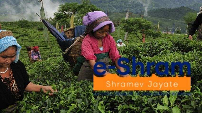 e-Shram Registration: Are farmers eligible to register on the portal? Know details here e-Shram Registration: Are farmers eligible to register on the portal? Know details here