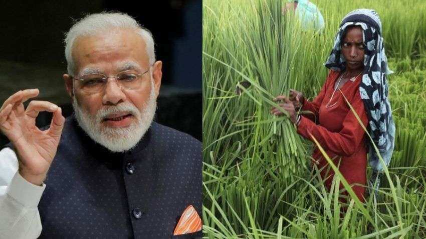 PM KISAN: Farmers to get 10th installment before New Year? See important updates here PM KISAN: Farmers to get 10th installment before New Year? See important updates here