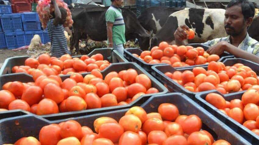 Tomato price rises to Rs 75 per kg in national capital
