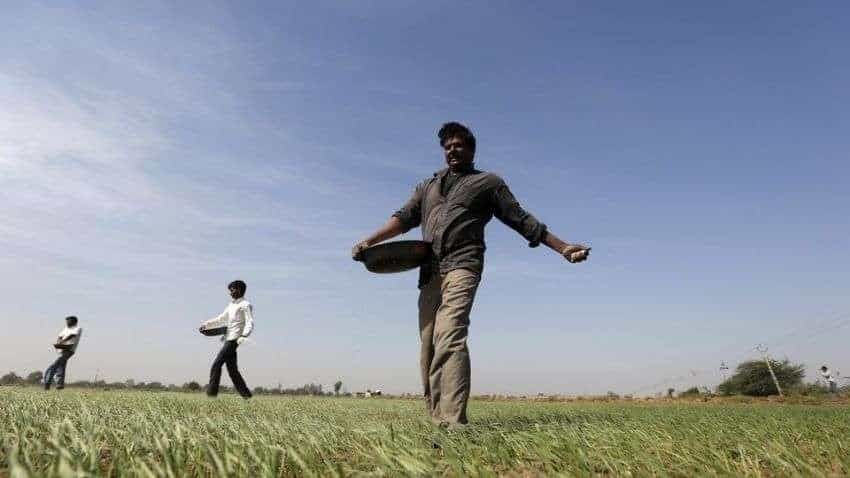 India faces record fertiliser subsidy in 2021/22