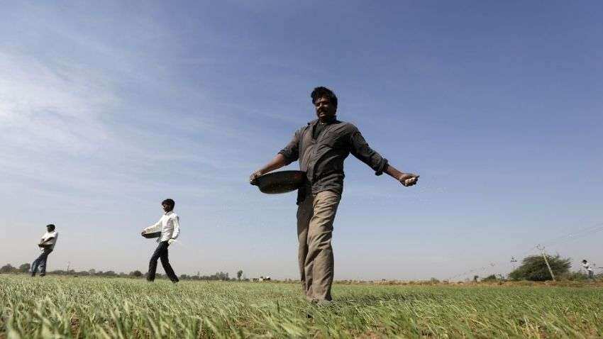 India faces record fertiliser subsidy in 2021/22 India faces record fertiliser subsidy in 2021/22