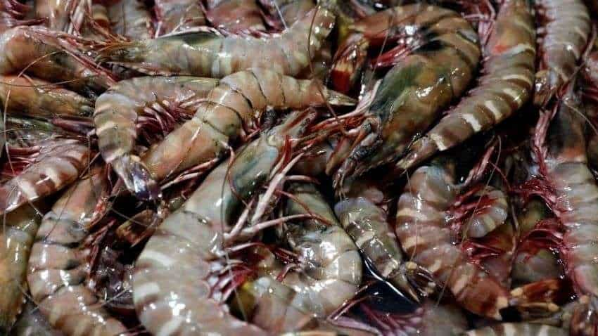 Outlook improves for shrimp exporting companies; analyst picks these stocks