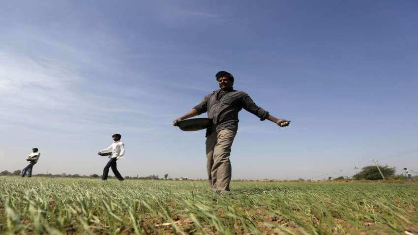 No acute shortage of fertilisers; availability of DAP for rabi season more than demand: Centre No acute shortage of fertilisers; availability of DAP for rabi season more than demand: Centre