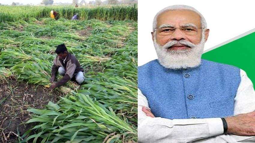 PM-Kisan 10th installment expected this month? Know how to check beneficiary status PM-Kisan 10th installment expected this month? Know how to check beneficiary status