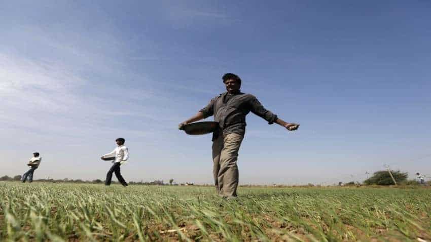 Led by urea, fertiliser subsidies to soar 62% this fiscal on rising input costs: Report Led by urea, fertiliser subsidies to soar 62% this fiscal on rising input costs: Report