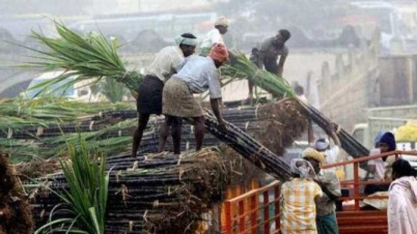 Surging on multiple triggers! Sugar stocks sweetened up to 10% intraday today - should you invest? Surging on multiple triggers! Sugar stocks sweetened up to 10% intraday today - should you invest?