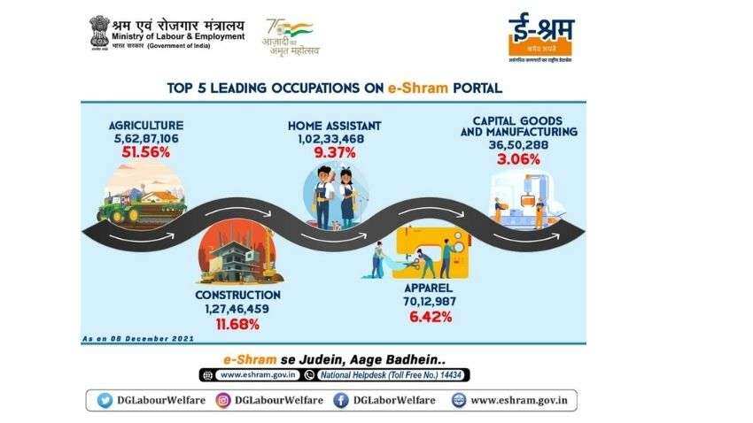 e-Shram portal: Agricultures remains a top occupation preference as these 5 occupations see maximum registration
