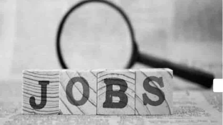 ​Signs of revival in hiring activity observed in multiple sectors beyond IT in December: Report