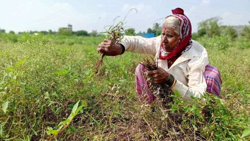 Retail inflation for farm, rural workers rise to 4.78%, 5.03% in December