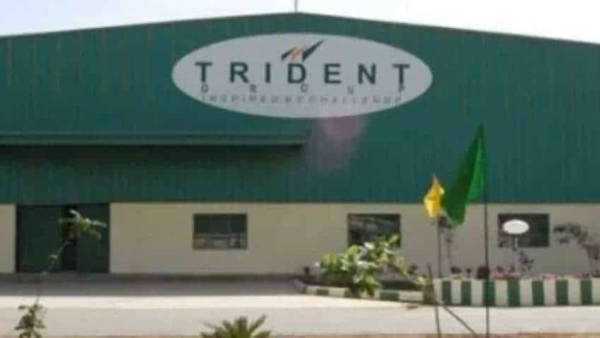 Trident shares hit 5% lower circuit; Motilal Oswal sees over 15% upside in textile stock that surged nearly 350% in one year 