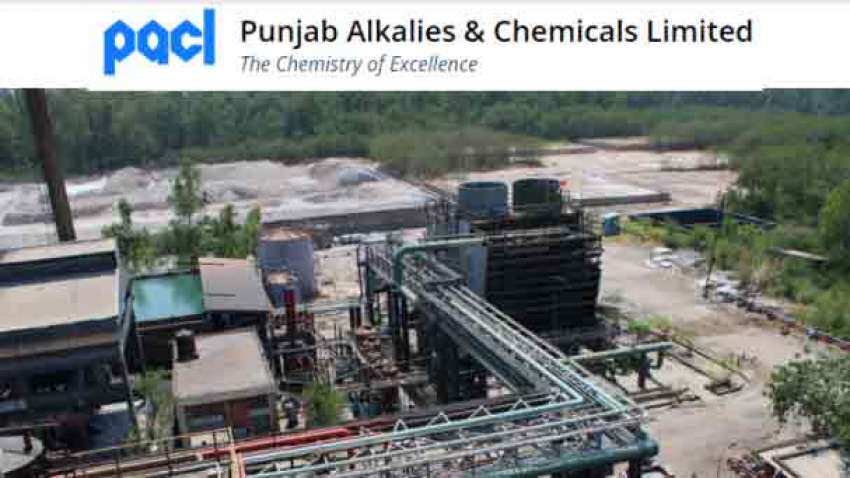 Punjab Alkalies &amp; Chemicals stock spilt: Ex-date of multibagger stock that surged over 500% in one year is today—details   