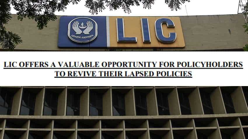 Explained: How to revive lapsed LIC policy - Campaign launched! Know dates, concession in late fee and more 