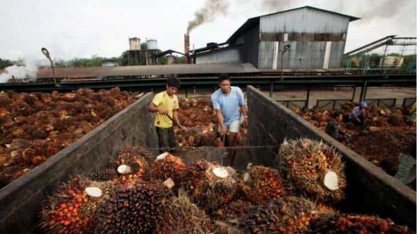 Russia-Ukraine conflict: Palm oil surges past 7,000 ringgit to record high on Black Sea supply woes
