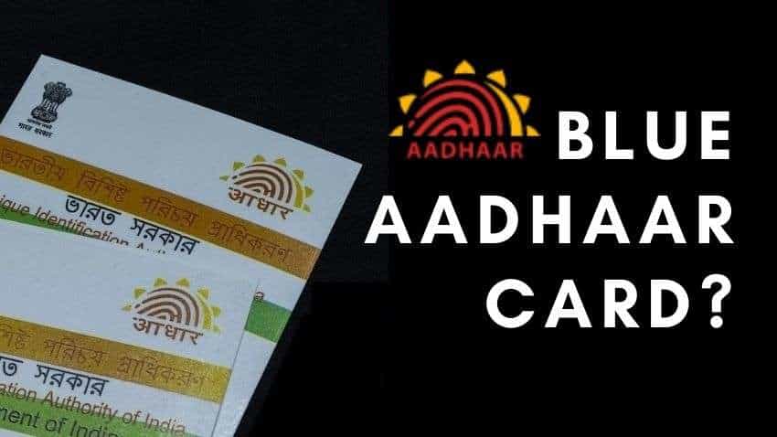 What is Blue Aadhaar Card? Check details, how to apply and more