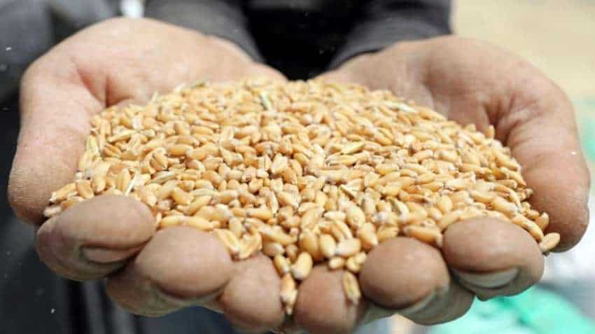 Government asks States, UTs and FCI to continue wheat procurement under central pool till May 31 – know detail here Government asks States, UTs and FCI to continue wheat procurement under central pool till May 31 – know detail here
